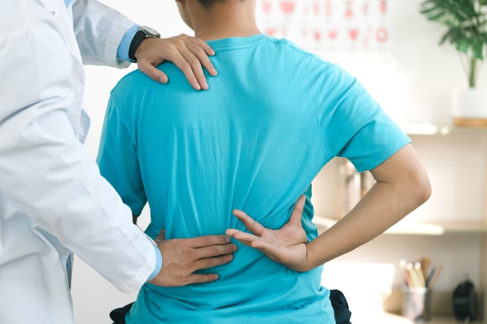 Physiotherapists treat lower back pain and injuries with physical therapy and massage to support muscle recovery and healing.